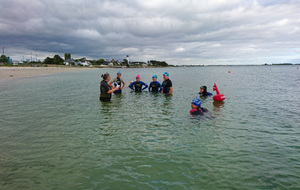Activité Eau Libre Juniors et Masters