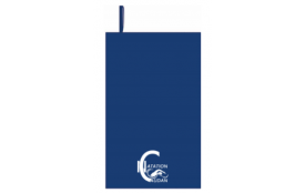 Serviette Microfibre 30*50 cm 